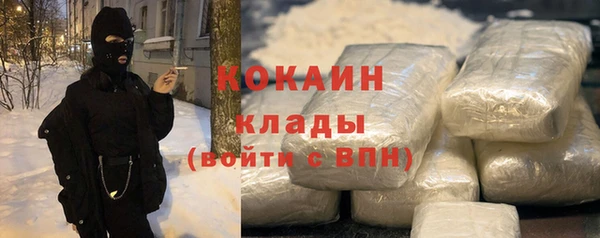 тгк Верея