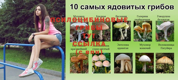 тгк Верея