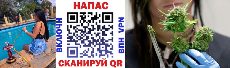 Шишки марихуана SATIVA & INDICA  Иваново 
